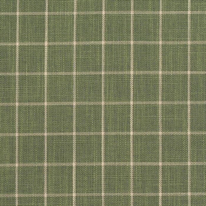 Charlotte Juniper Checkerboard Fabric Sample D126