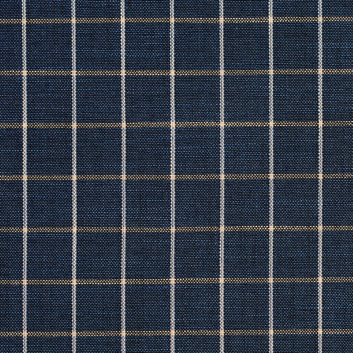 Charlotte Indigo Checkerboard Fabric Sample D127