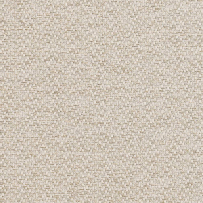 Charlotte Oyster Fabric D1381