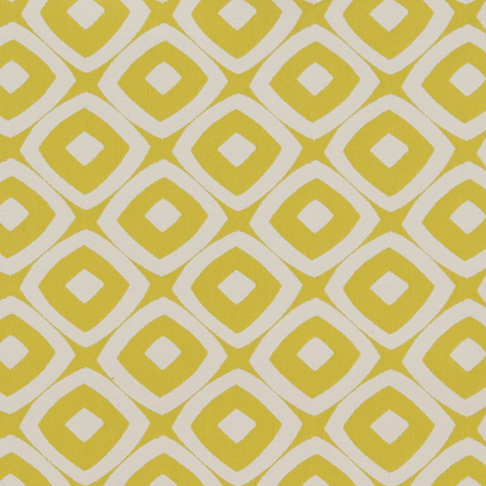 Charlotte Lime Mayan Fabric D1455