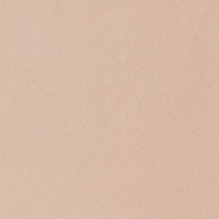 Charlotte Blush Fabric Sample D1468