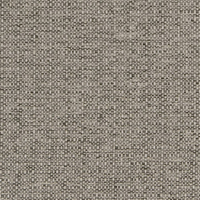 Charlotte Platinum Fabric Sample D1582