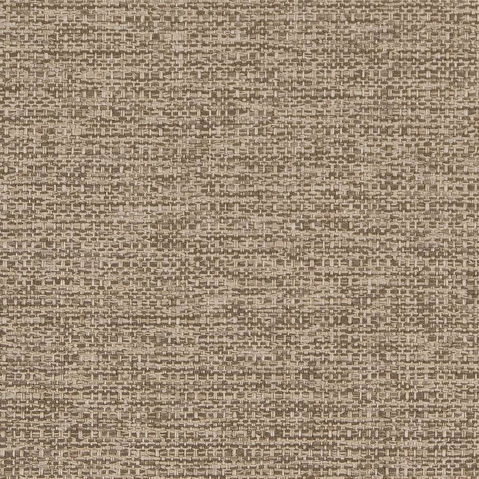 Charlotte Taupe Fabric Sample D1598