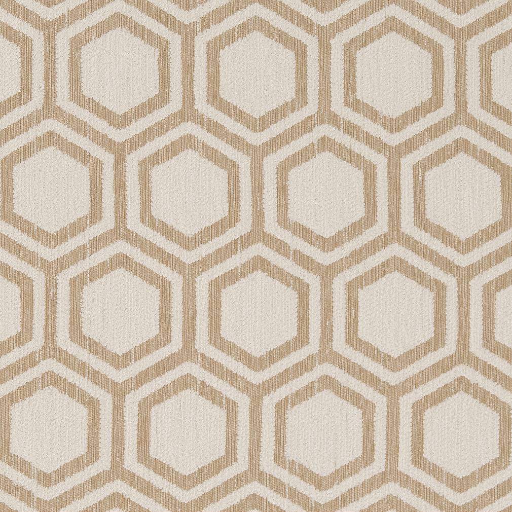 Charlotte Sand Dollar Fabric D1635