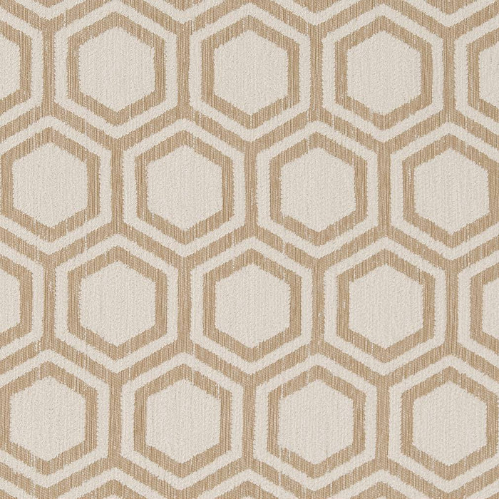 Charlotte Sand Dollar Fabric D1635