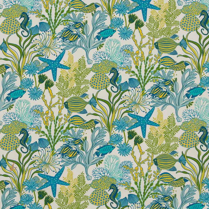 Charlotte Atlantis Fabric D1662