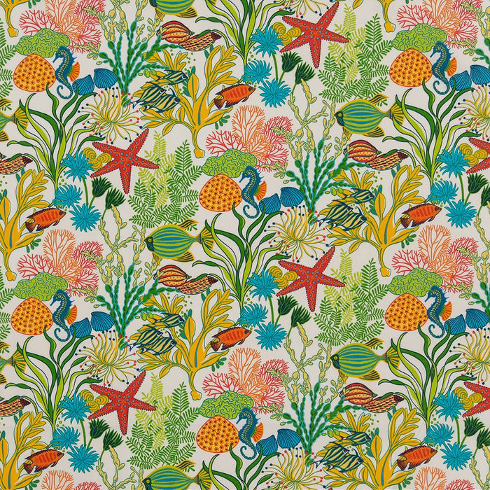 Charlotte Reef Fabric D1663