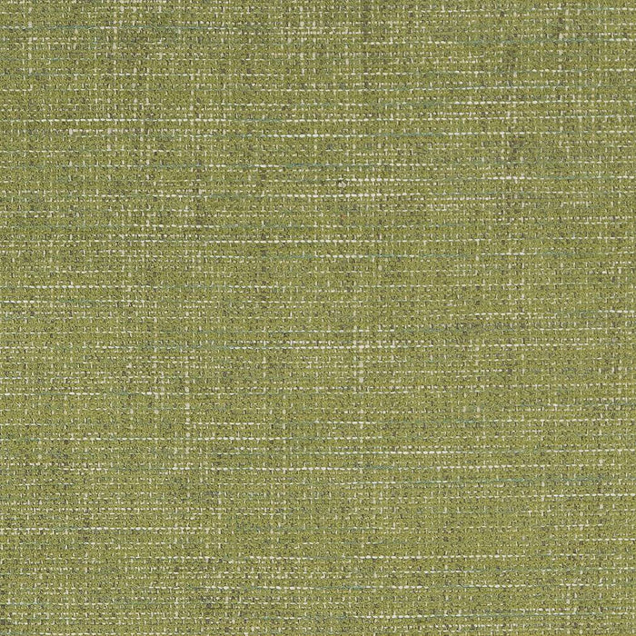 Charlotte Grass Fabric D1739