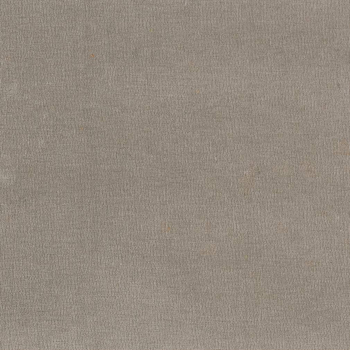 Charlotte Platinum Fabric Sample D1792