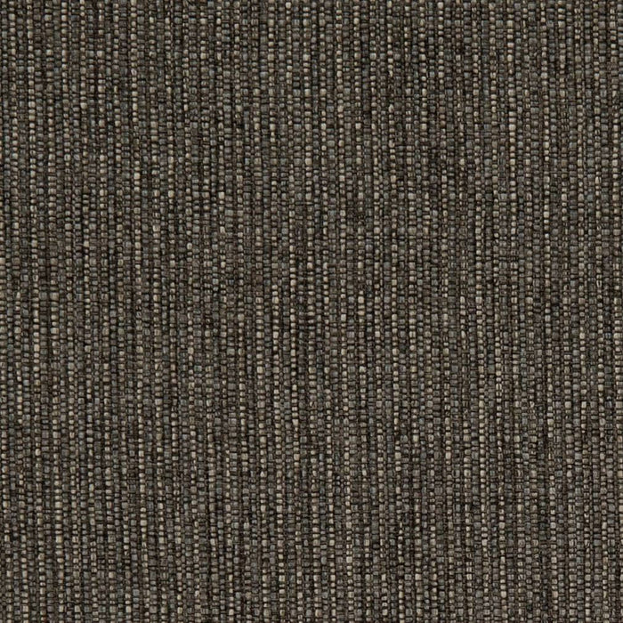 Charlotte Carbon Fabric Sample D1956