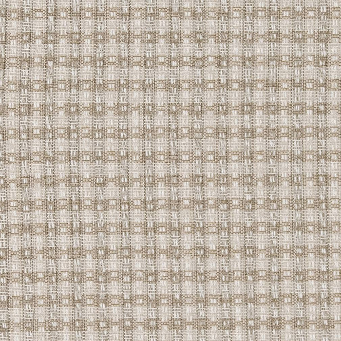 Charlotte Oyster Fabric Sample D1967