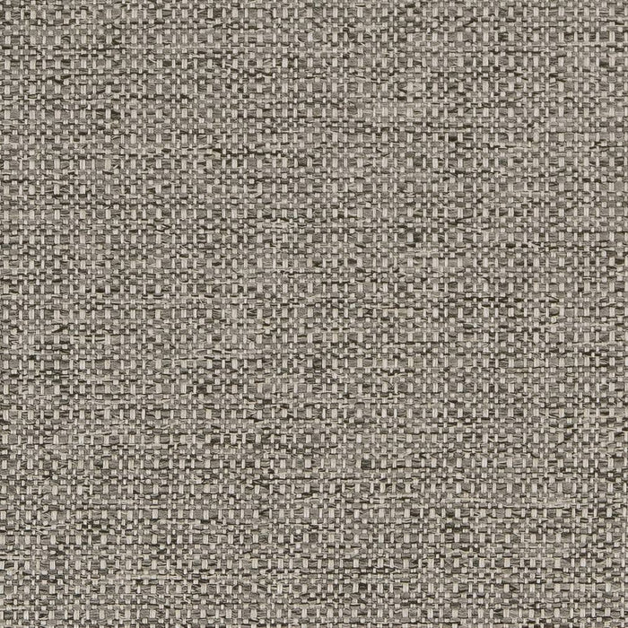 Charlotte Platinum Fabric Sample D1979