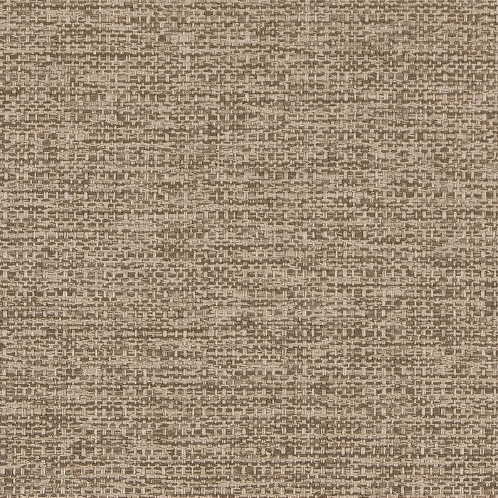 Charlotte Taupe Fabric Sample D1990