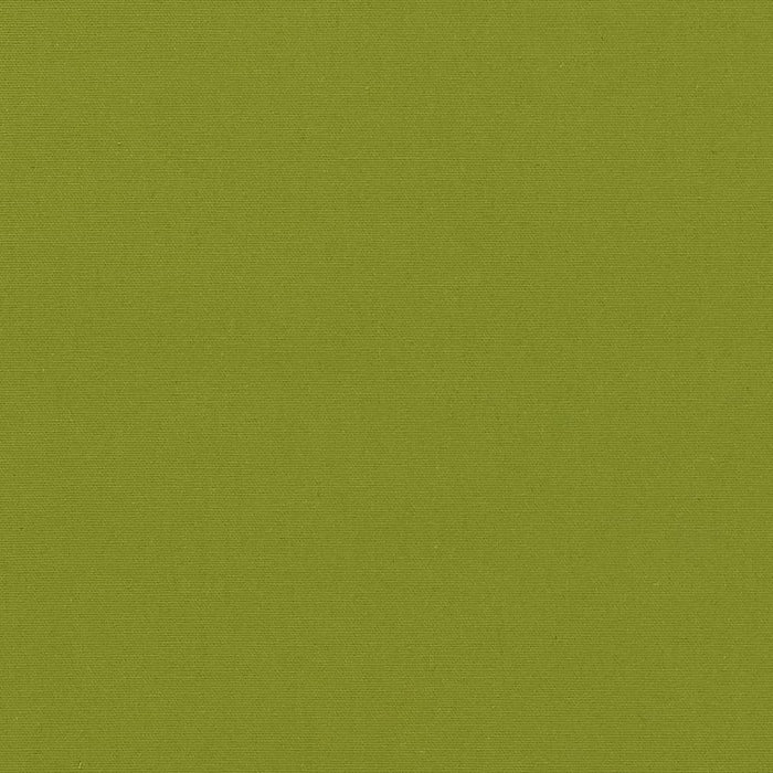 Charlotte Lime Fabric Sample D2335