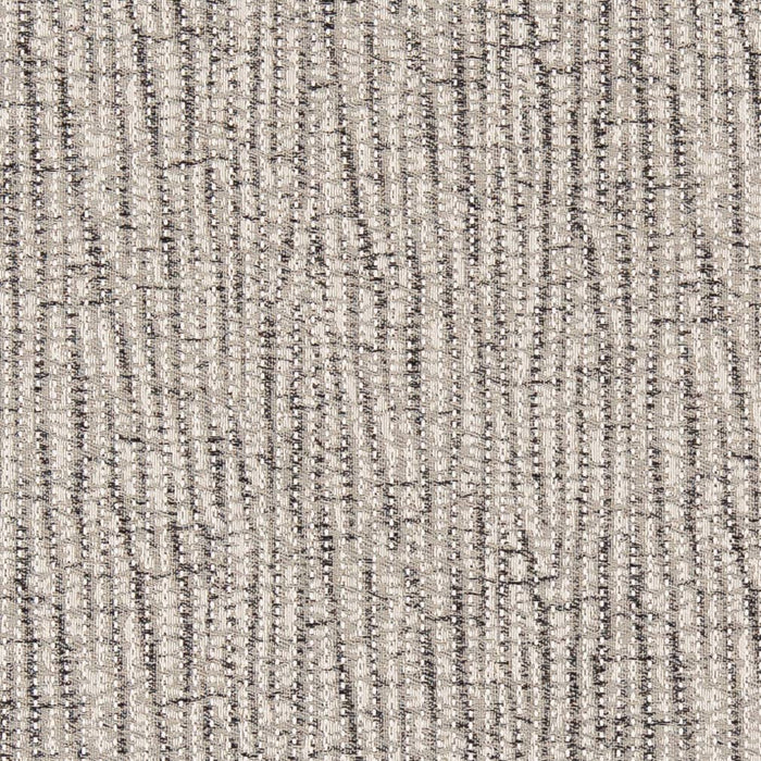 Charlotte Fossil Fabric Sample D2418