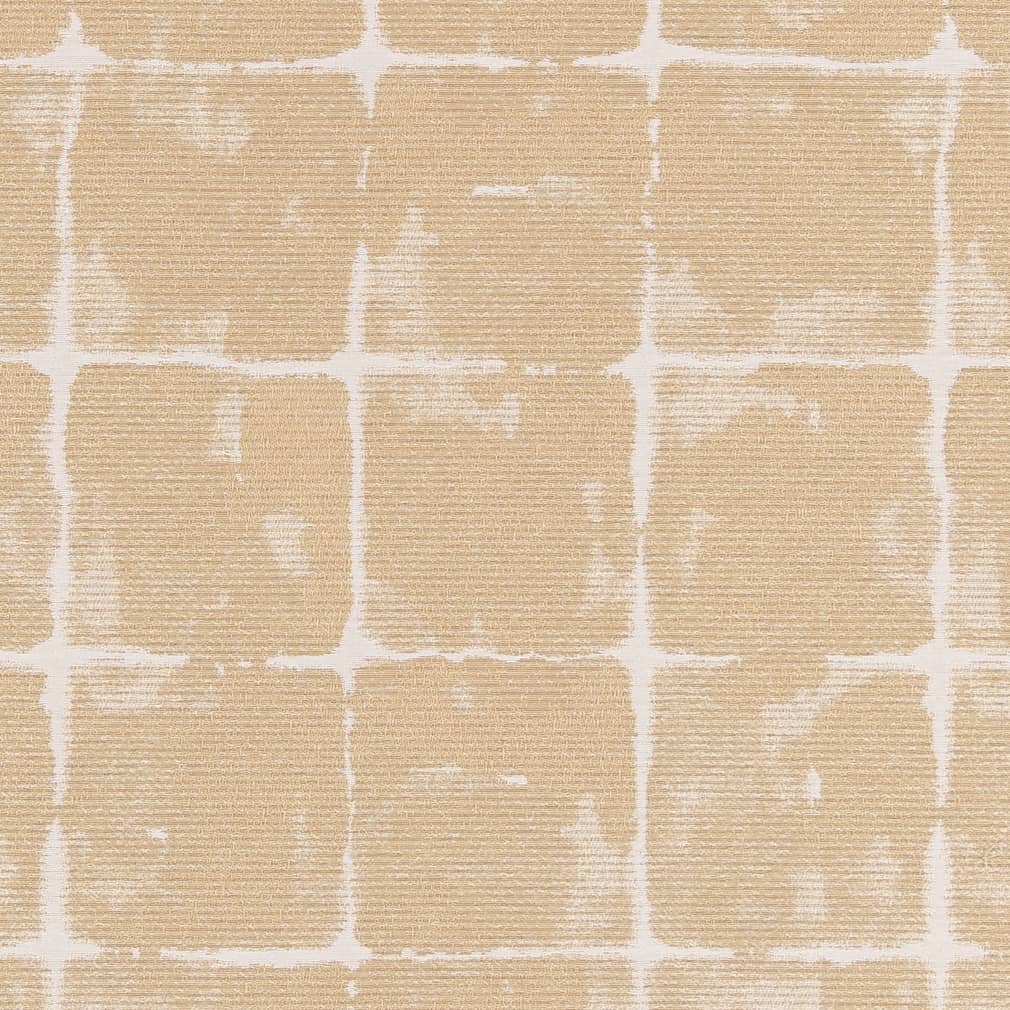 Charlotte Sand Dollar Fabric D2437