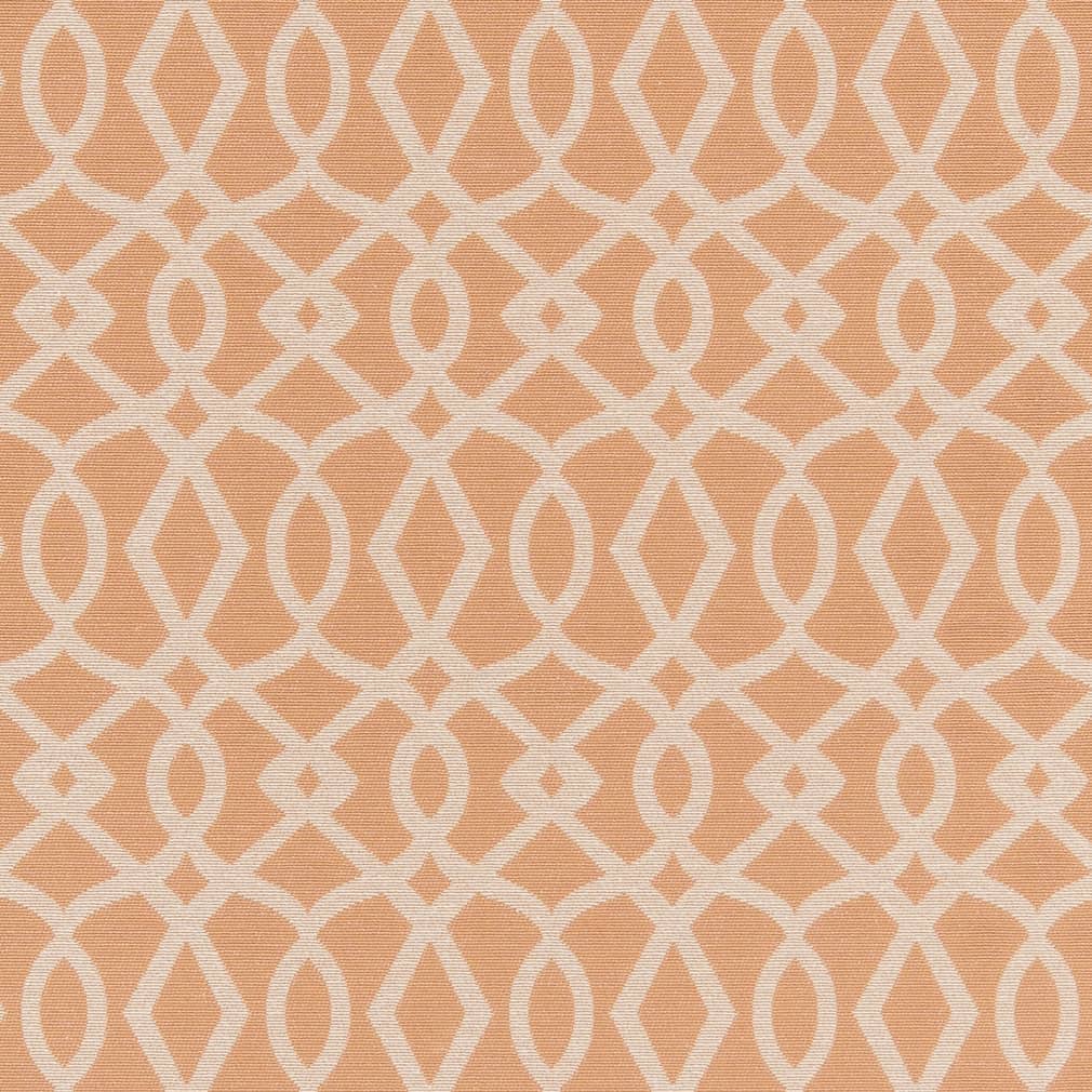 Charlotte Peach Fabric D2442