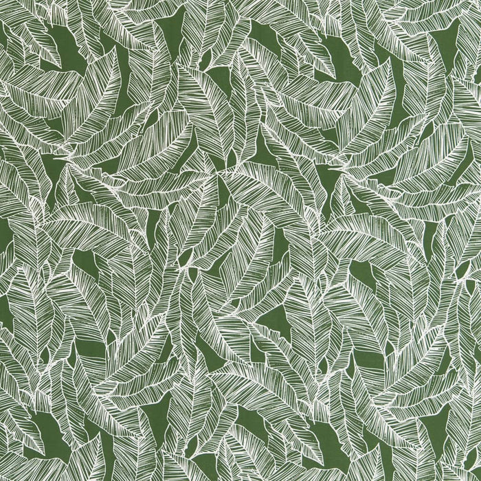 Charlotte Jungle Fabric D2485