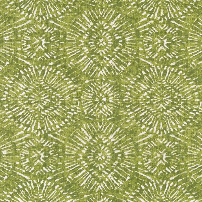 Charlotte Lime Fabric D2498