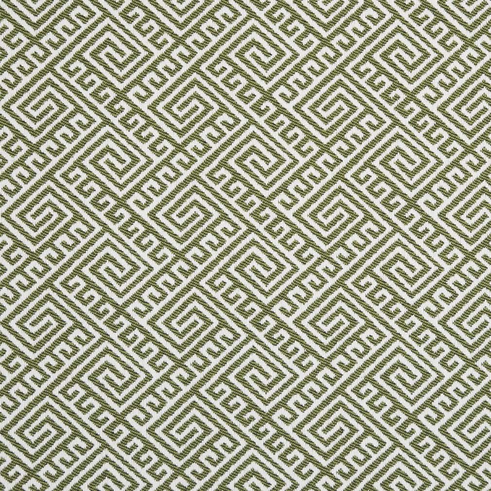 Charlotte Lime Fabric Sample D2553