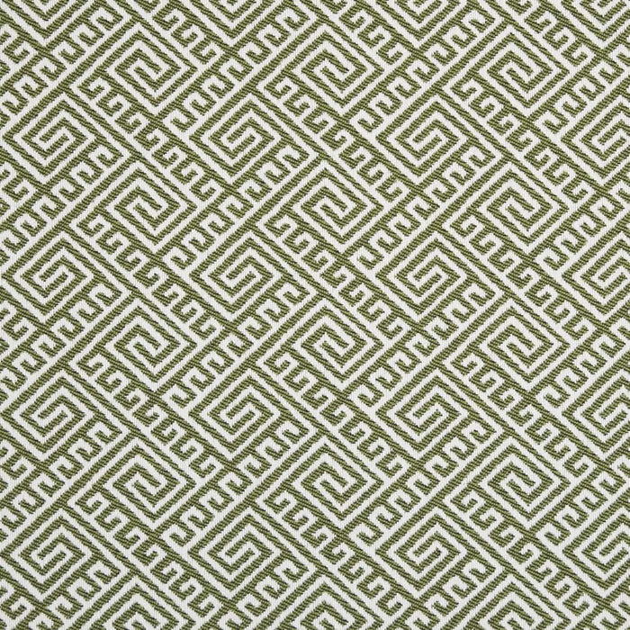 Charlotte Lime Fabric Sample D2553