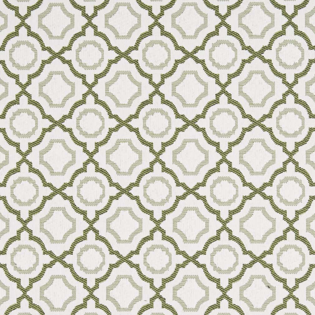 Charlotte Avocado Fabric Sample D2559