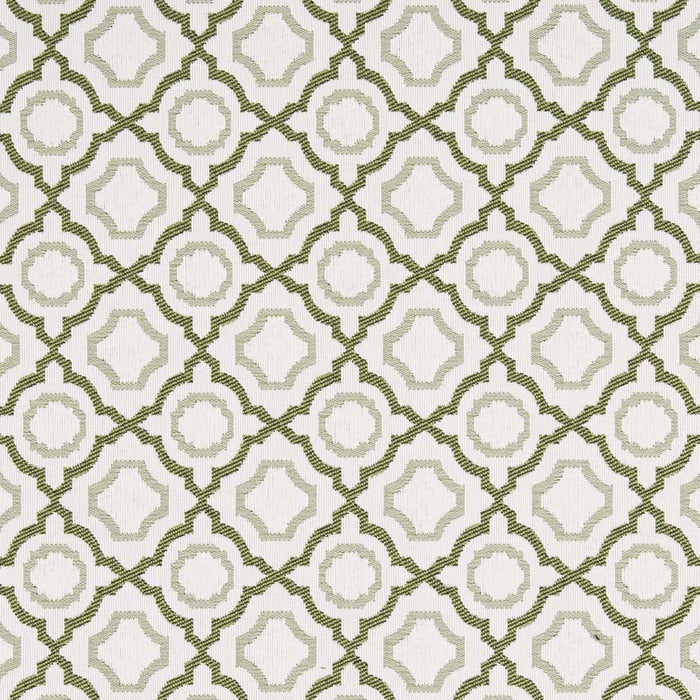 Charlotte Avocado Fabric Sample D2559