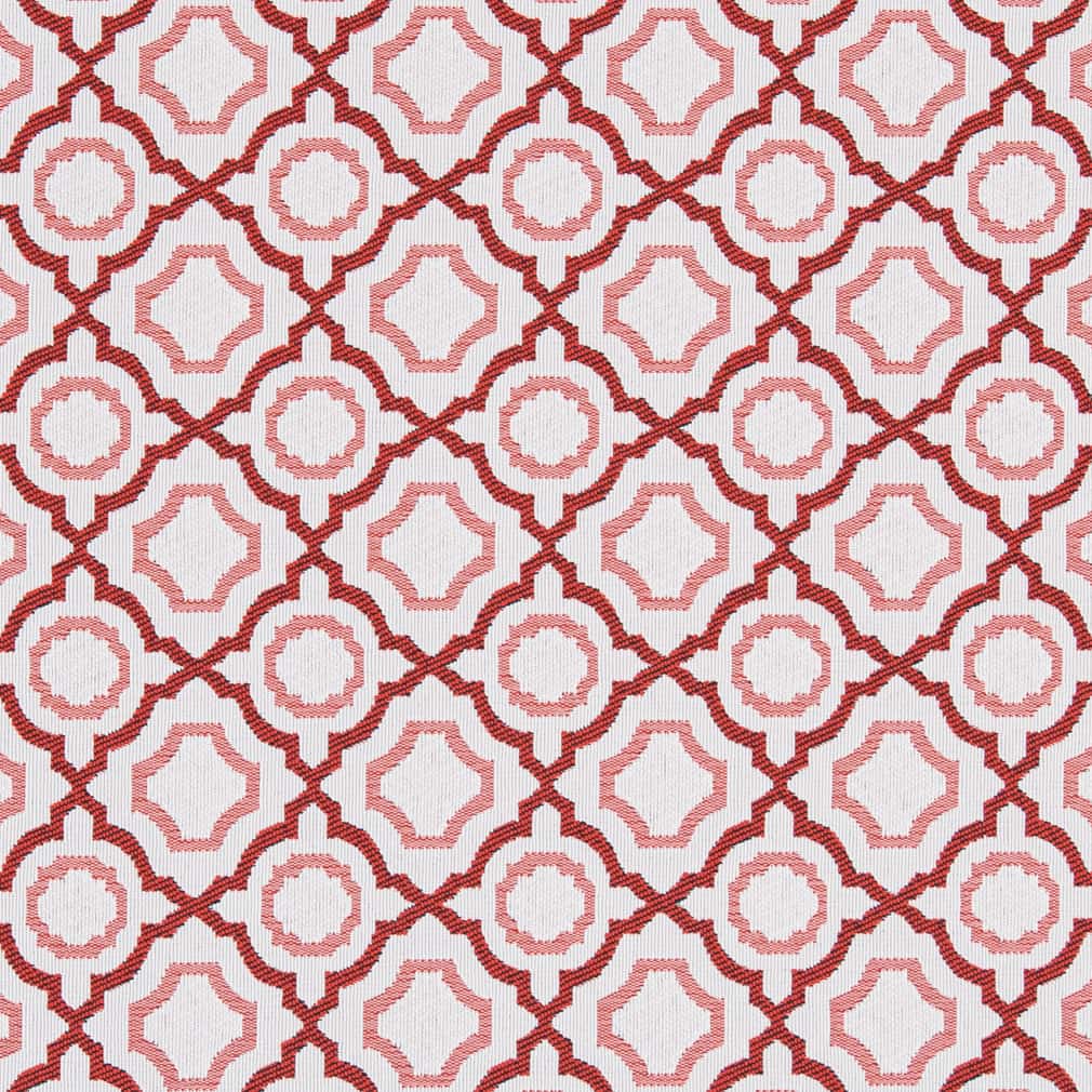 Charlotte Strawberry Fabric D2561