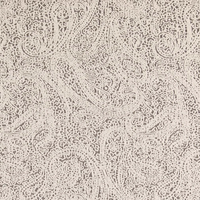 Charlotte Paisley Coal Fabric D2592