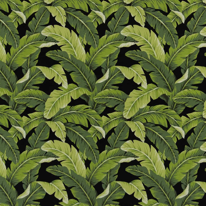 Charlotte Rainforest Fabric Sample D2715