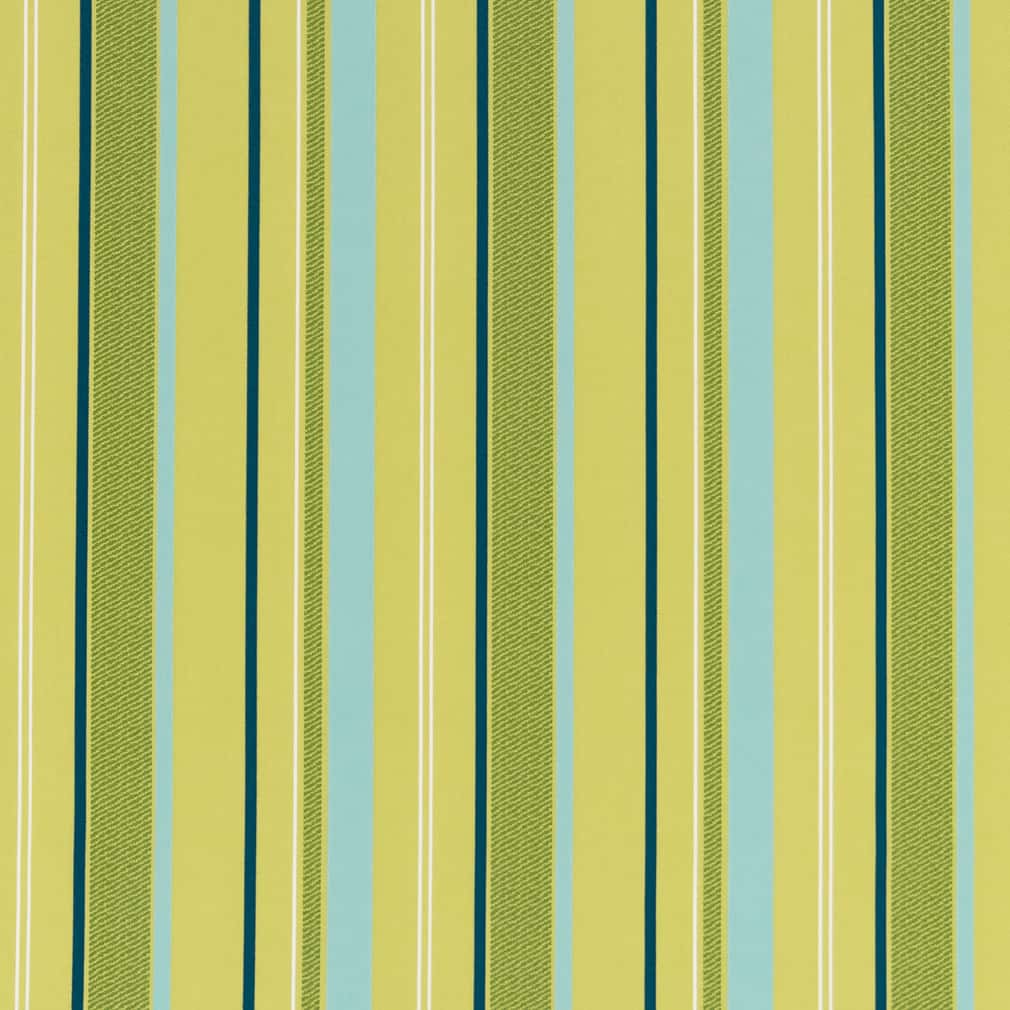 Charlotte Kiwi Fabric Sample D2724