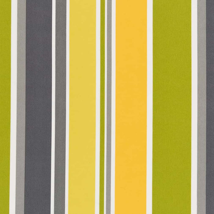 Charlotte Limelight Fabric Sample D2744