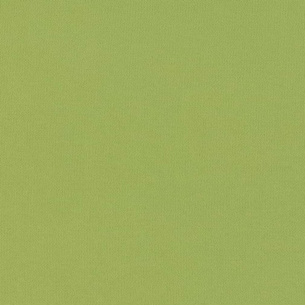 Charlotte Lime Fabric D2819