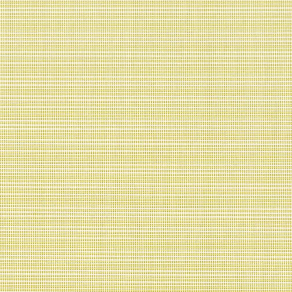 Charlotte Citrus Fabric Sample D2838