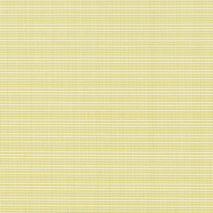 Charlotte Citrus Fabric Sample D2838