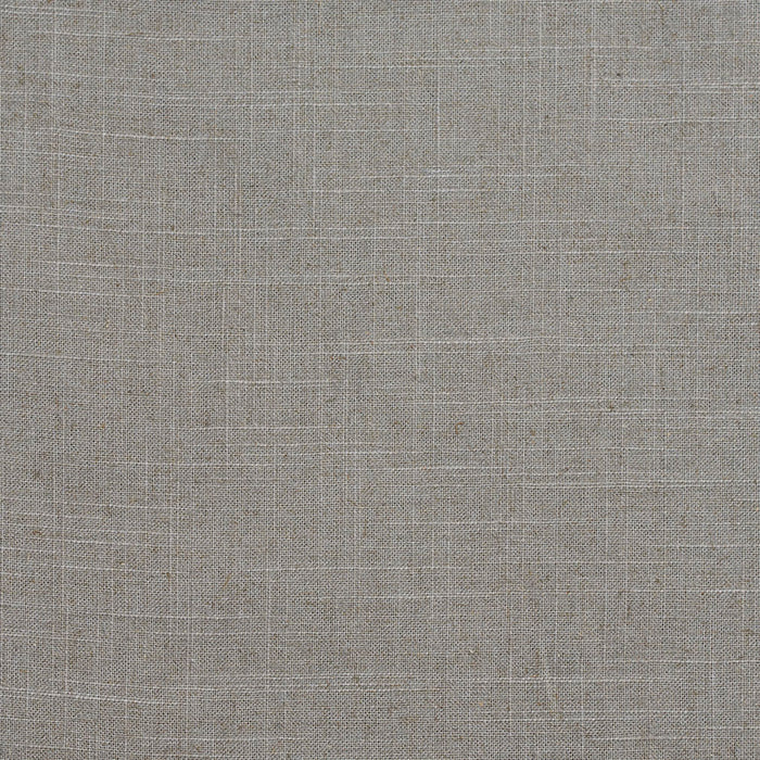 Charlotte Platinum Fabric Sample D290