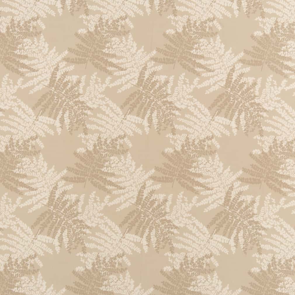 Charlotte Beechwood Fabric Sample D2929