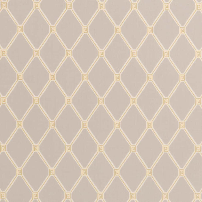 Charlotte Lemon Fabric Sample D2937