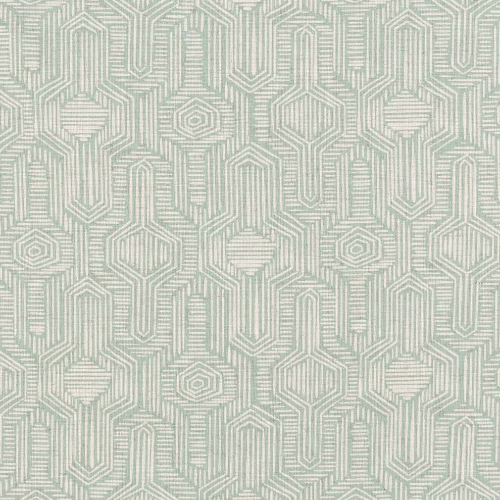 Charlotte Water Fabric D2938