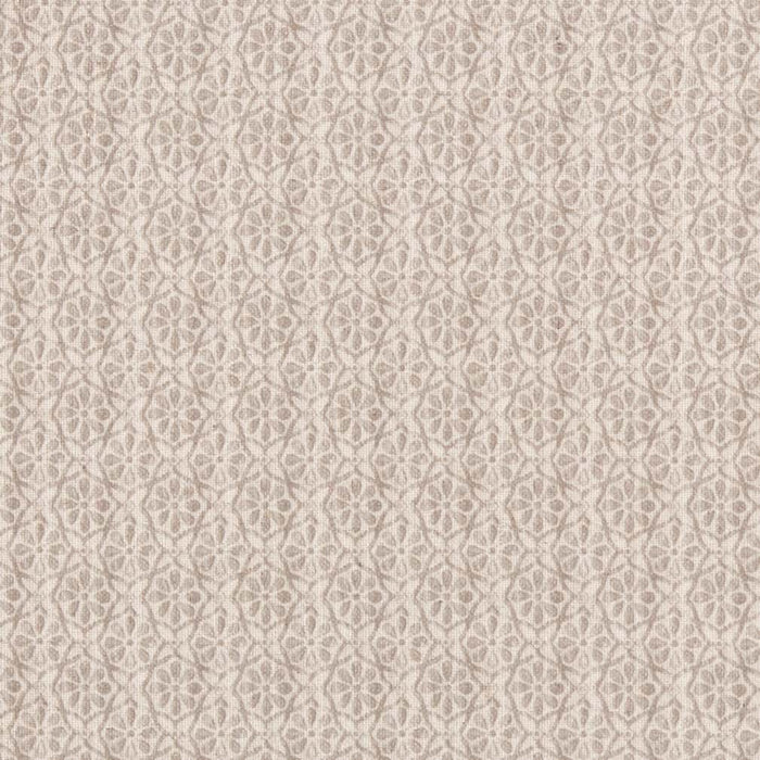 Charlotte Platinum Fabric Sample D2951