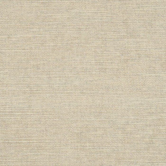 Charlotte Bone Fabric Sample D2969