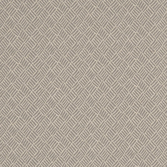 Charlotte Silver Fabric D3093