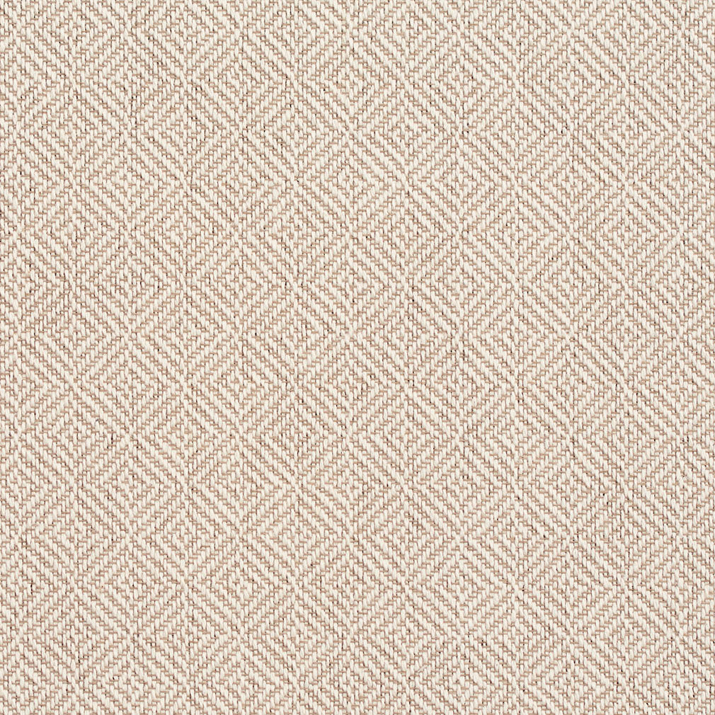 Charlotte Parchment Fabric D375