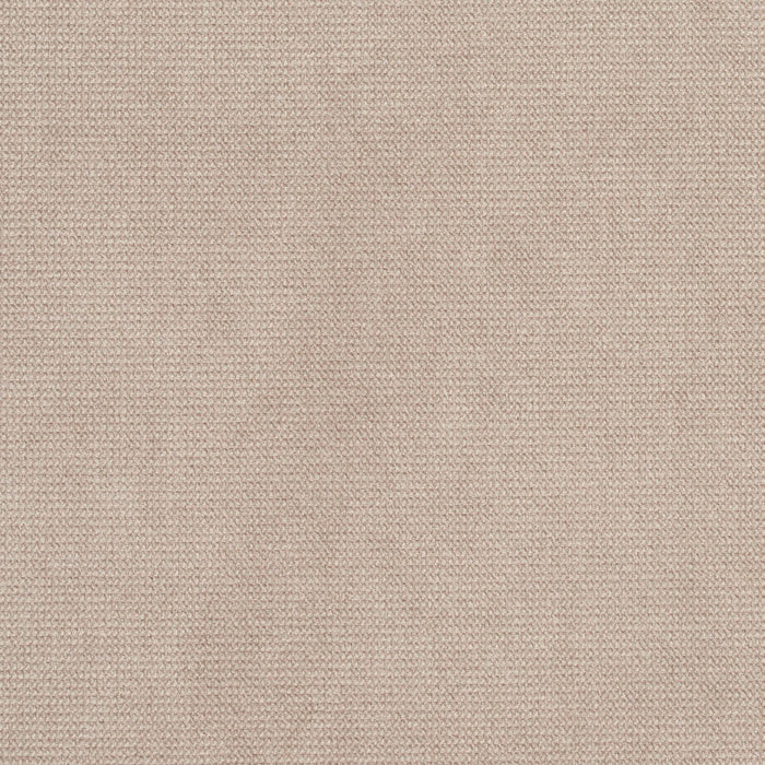 Charlotte Dove Fabric Sample D408