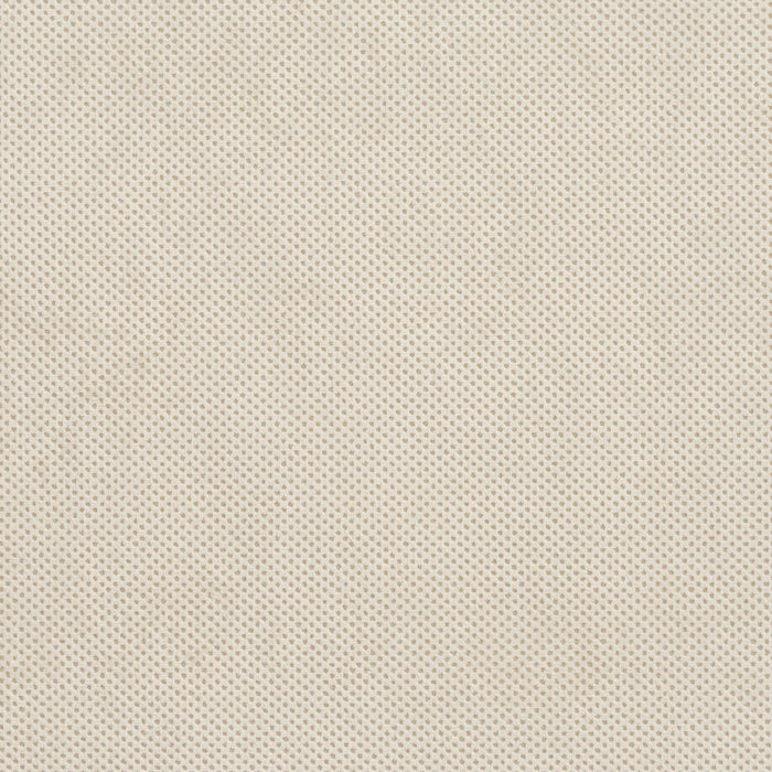 Charlotte Natural Texture Fabric Sample D534