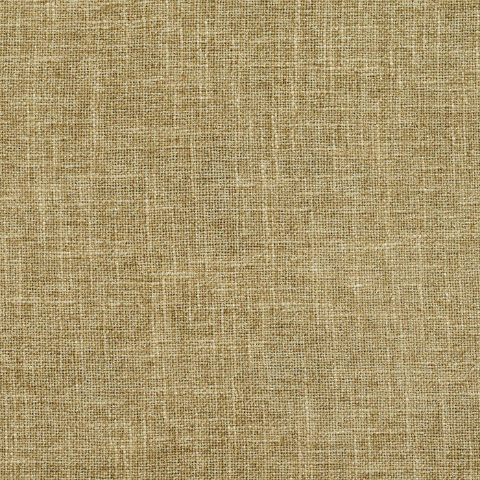 Charlotte Sage Fabric Sample D697