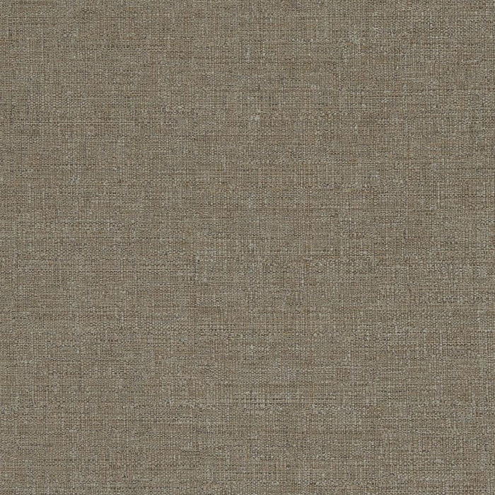 Charlotte Bark Fabric D836