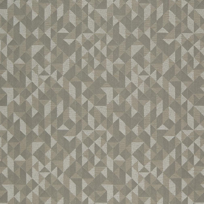 Charlotte Epic/flannel Fabric D894