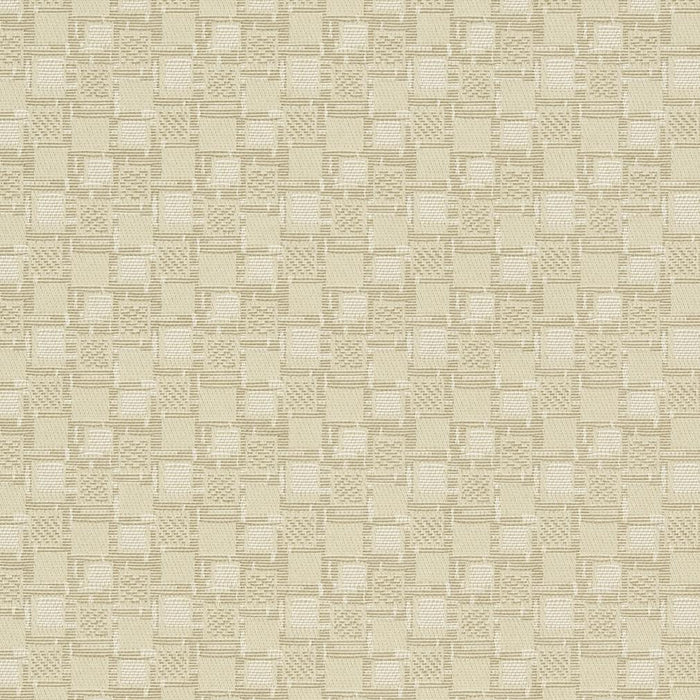 Charlotte Squares/canvas Fabric D923