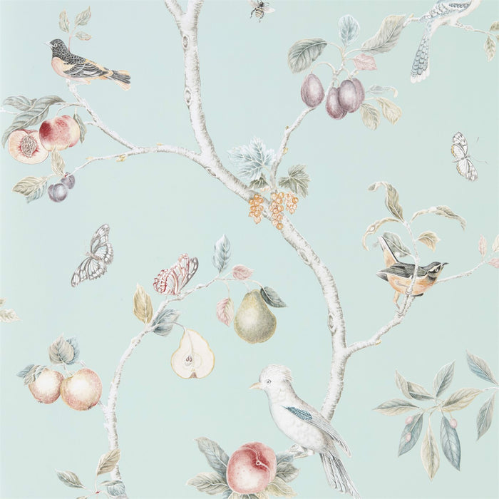 Sanderson Fruit Aviary Duck Egg/Multi 216312 Wallpaper DART216312